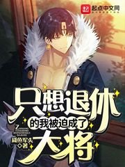 (海贼王同人)只想退休的我被迫成了大将