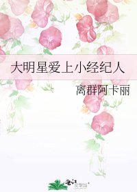 大明星爱上小经纪人