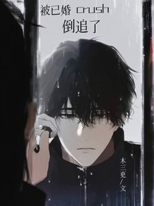 被已婚crush倒追了(重生)